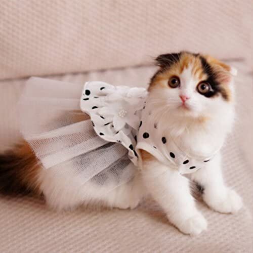 Wedding dress for cat or dog