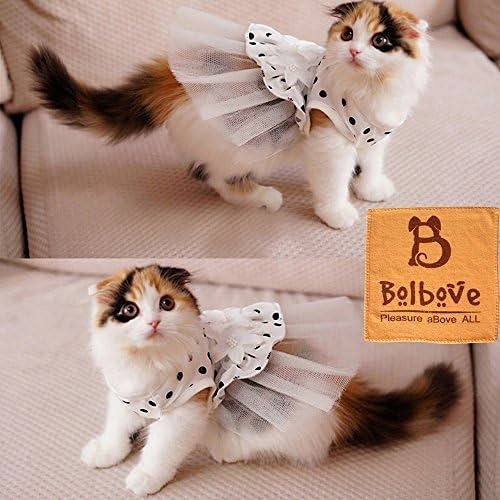 Cat wedding outfit Captivating and sweet bridal gown especially for cats or small dogs
