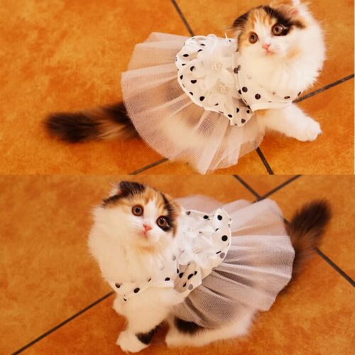 Wedding dress for cat or dog