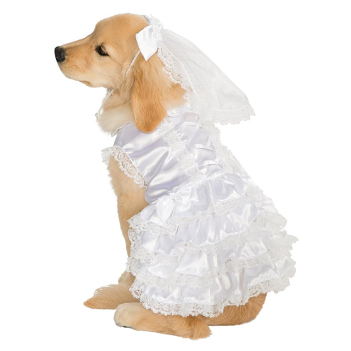 Bride costume for dog in a selection of sizes photo...