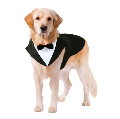 Dog tuxedo bandana Gorgeous formal suit for a dog in a selection of sizes that will melt the heart of your guests