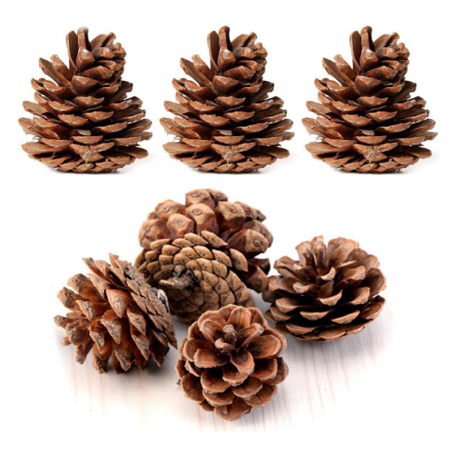 Pine cones wedding decorations Wholesale packaging 24 in a package A wonderful and magical decoration accessory that creates a pleasant forest atmosphere