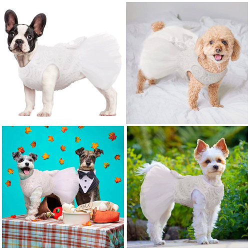 Pet Stripe Formal Suit Wedding Clothes Petvins Dog Tuxedo Costume with Bowknot Tie Prince Shirt Party Clothes for Small Medium Dog 