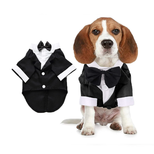 Dog tuxedo medium in a luxurious and elegant style Made of pleasant and breathable cotton – Easy and comfortable closure