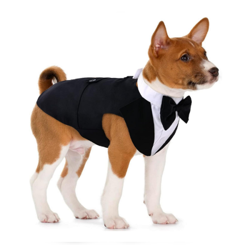 Dog tuxedo costume for medium-sized dogs gentleman suit with bow tie, bandana shirt, 2-piece set