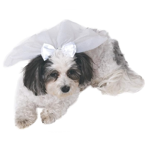 Dog veil wedding in a princess design with a satin bow tie for decoration – Perfect for your little friend on the biggest day of your life