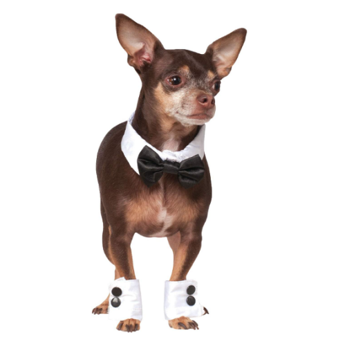 Dog tuxedo medium A particularly cool bow tie and cuff...