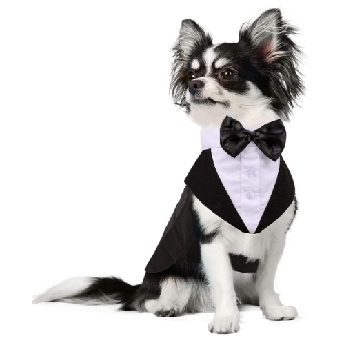 Dog tuxedo wedding Formal Suit for Medium Large Dogs, Wedding Party Outfit with Detachable Bowtie Collar