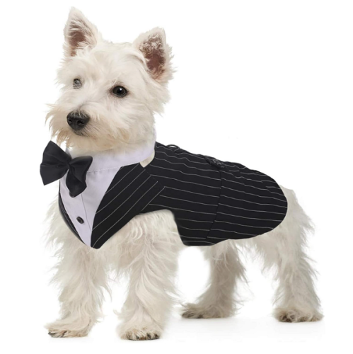 Dog tuxedo bow tie Formal suit for medium-sized dogs, wedding party outfit with a detachable collar, elegant bow tie shirt and bandana set