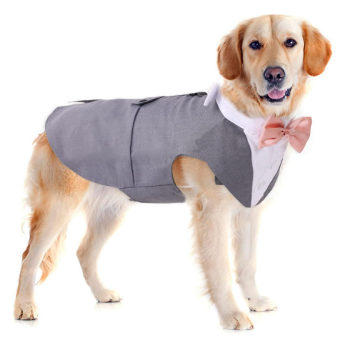 Dog tuxedo for wedding Impressive suit in pink gray or...