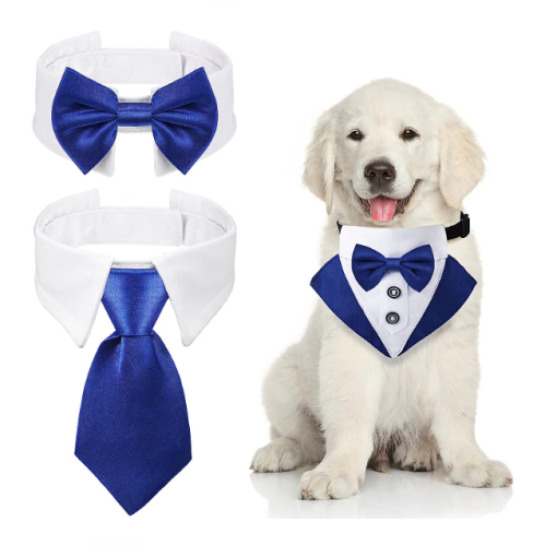 Dog formal tuxedo collar Crazy 3-piece set in royal blue or classic black that includes: bandana, a bow tie and a classic formal tie